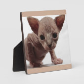 Plaque Photo Freaky Cute Furless (Recto)