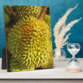 Plaque Photo Fruit durian (Côté)