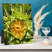 Plaque Photo Fun jaune floral tournesol (Côté)