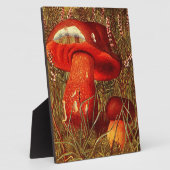 Plaque Photo Fungus Amongus - Boletus Luridus Vintage (Côté)