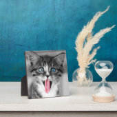 Plaque Photo Funny (Insitu)