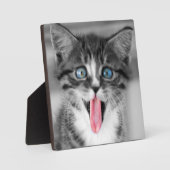 Plaque Photo Funny (Recto)