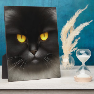 Plaque Photo Funny Fluffeux noir Perse noir chaton visage