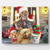 Plaque Photo Funny kittens (Devant)