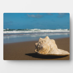Plaque Photo Future Beach
