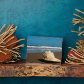 Plaque Photo Future Beach (Côté)