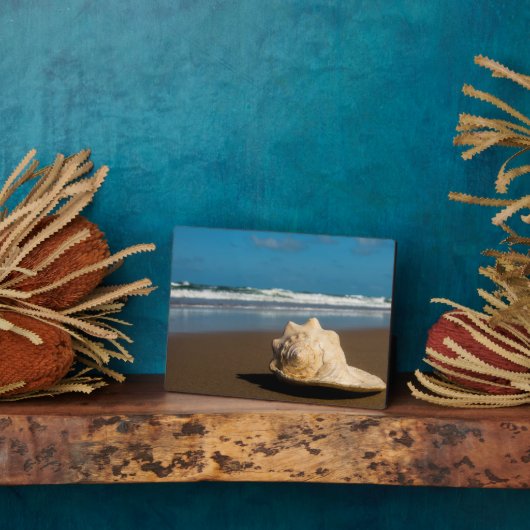 Plaque Photo Future Beach (Côté)