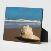 Plaque Photo Future Beach (Côté)