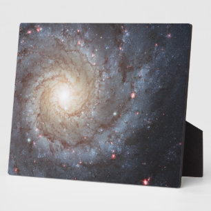 Plaque Photo Galaxie spirale M74 10x8