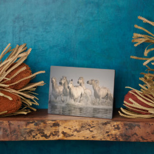 Plaque Photo Galloping à cheval dans l'eau méditerranéenne
