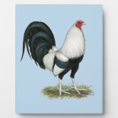 Plaque Photo Gamecock argenté (Devant)