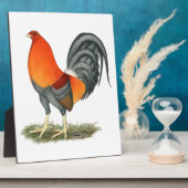 Plaque Photo Gamecock Blue Red Roster (Côté)