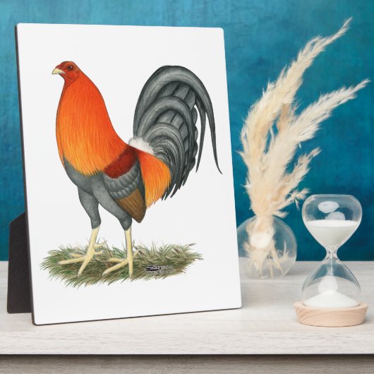 Plaque Photo Gamecock Blue Red Roster (Côté)