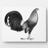 Plaque Photo Gamecock Red Hatch (Devant)