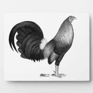 Plaque Photo Gamecock Red Hatch