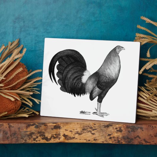 Plaque Photo Gamecock Red Hatch (Côté)