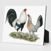 Plaque Photo Gamefowl argenté (Côté)