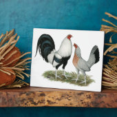 Plaque Photo Gamefowl argenté (Côté)