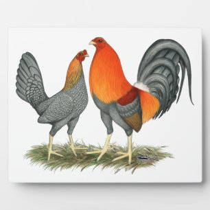 Plaque Photo Gamefowl rouge bleu