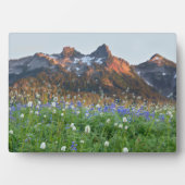 Plaque Photo Gamme de tatouages et Fleurs sauvages | Mt. Rainie (Devant)