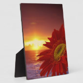 Plaque Photo Gerber Daisy et coucher du soleil (Côté)