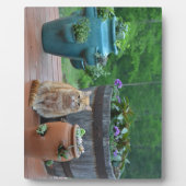 Plaque Photo Ginger Cat (Devant)