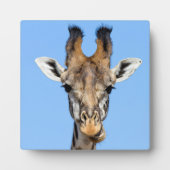 Plaque Photo Giraffe (Devant)