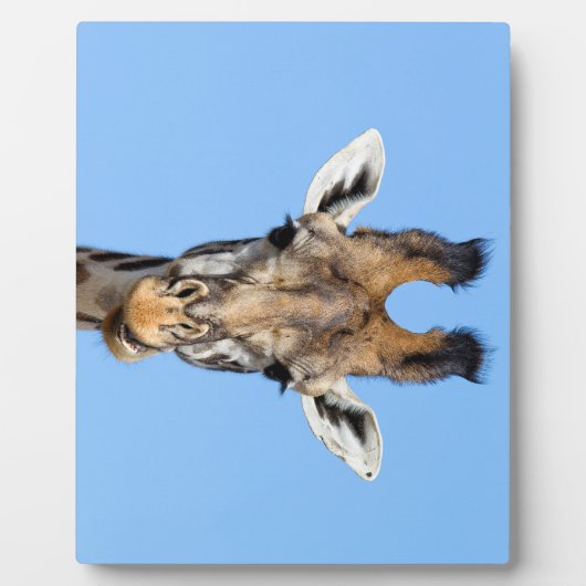 Plaque Photo Giraffe (Devant)