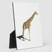 Plaque Photo Giraffe (Côté)