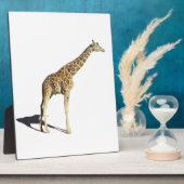 Plaque Photo Giraffe (Côté)