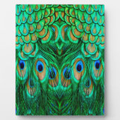 Plaque Photo Glorious Peacock (Devant)