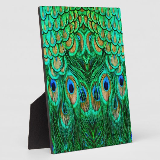 Plaque Photo Glorious Peacock (Côté)