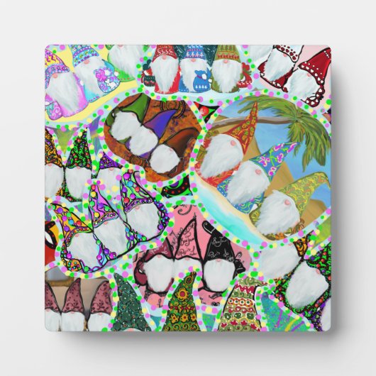 PLAQUE PHOTO GNOME (Devant)