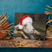 Plaque Photo Goat (Côté)
