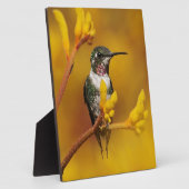 Plaque Photo Golden Glow (Côté)