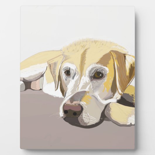 Plaque Photo Golden Labrador (Devant)