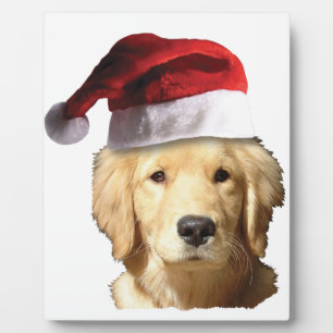 Plaque Photo Golden Retriever de Noël