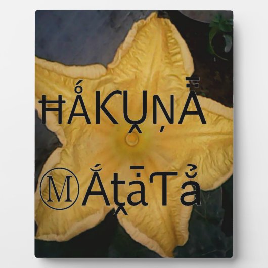 Plaque Photo Golden Star Hakuna Matata (Devant)