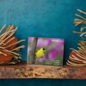 Plaque Photo Goldfinch (Côté)