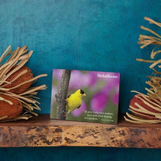 Plaque Photo Goldfinch (Côté)