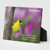 Plaque Photo Goldfinch (Côté)