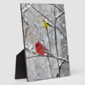 Plaque Photo Goldfinch Et Cardinal (Côté)