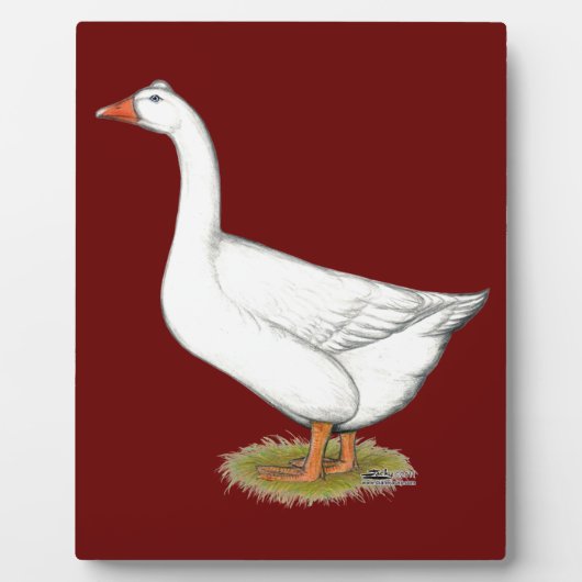 Plaque Photo Goose Roman Tufted (Devant)