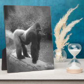 Plaque Photo Gorilla Silveback (Côté)