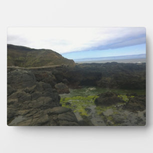 Plaque Photo Gouffre de Cook, Cape Perpetua, OR