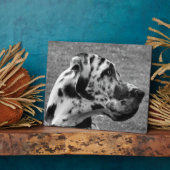 PLAQUE PHOTO GRAND DANE (Côté)