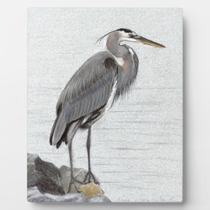 Plaque Photo Grand héron bleu