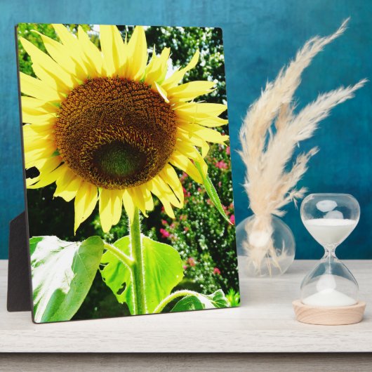 Plaque Photo Grand tournesol jaune (Côté)
