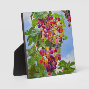 Plaque Photo Grapevine ensoleillée - Raisins colorés Peinture d