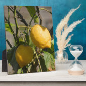 Plaque Photo Graphiques Citron Espagnol (Côté)